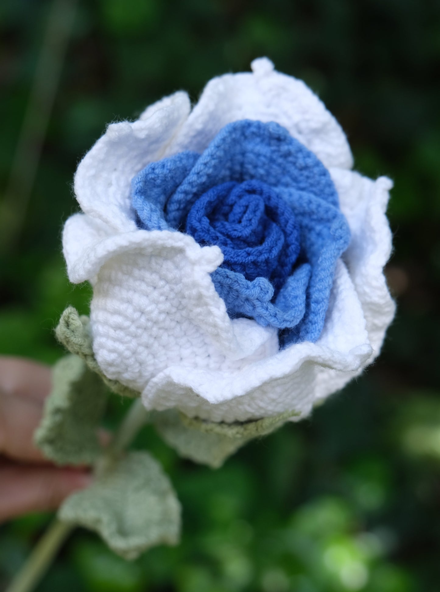 Products Blue Thai Crochet Rose, Detail