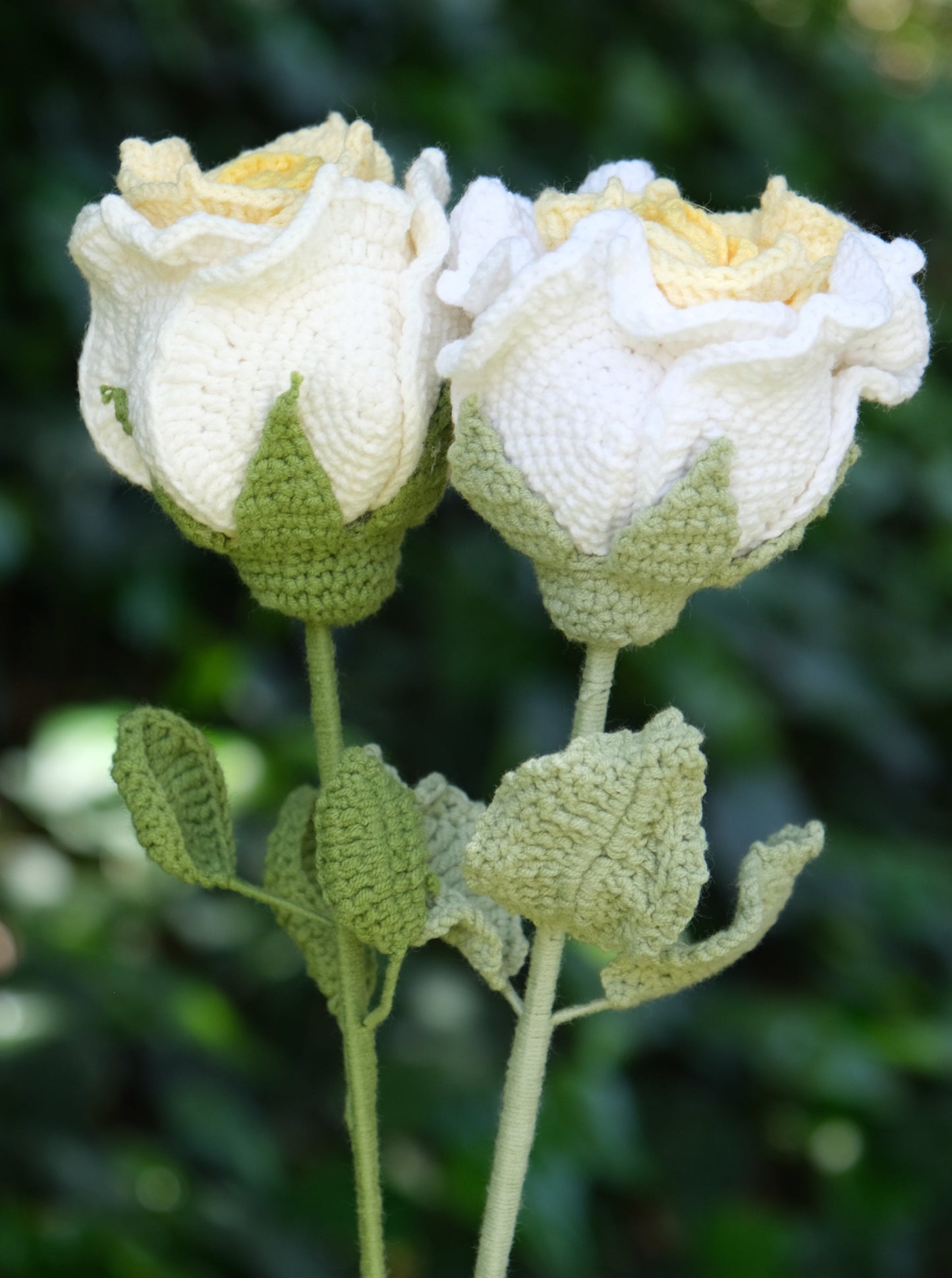 Yellow Crochet Thai Rose, Front Side