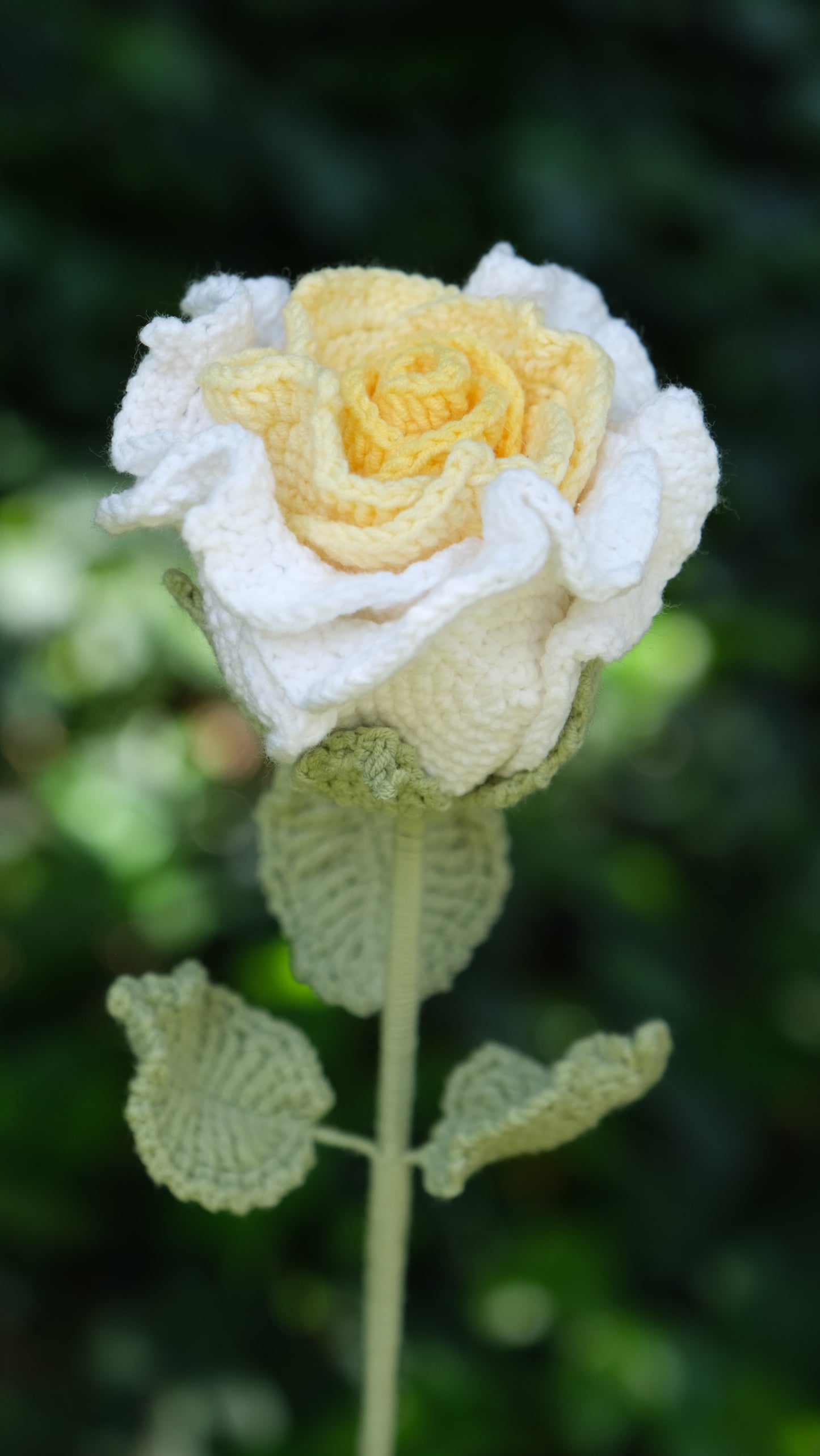 Yellow Crochet Thai Rose, Top Side