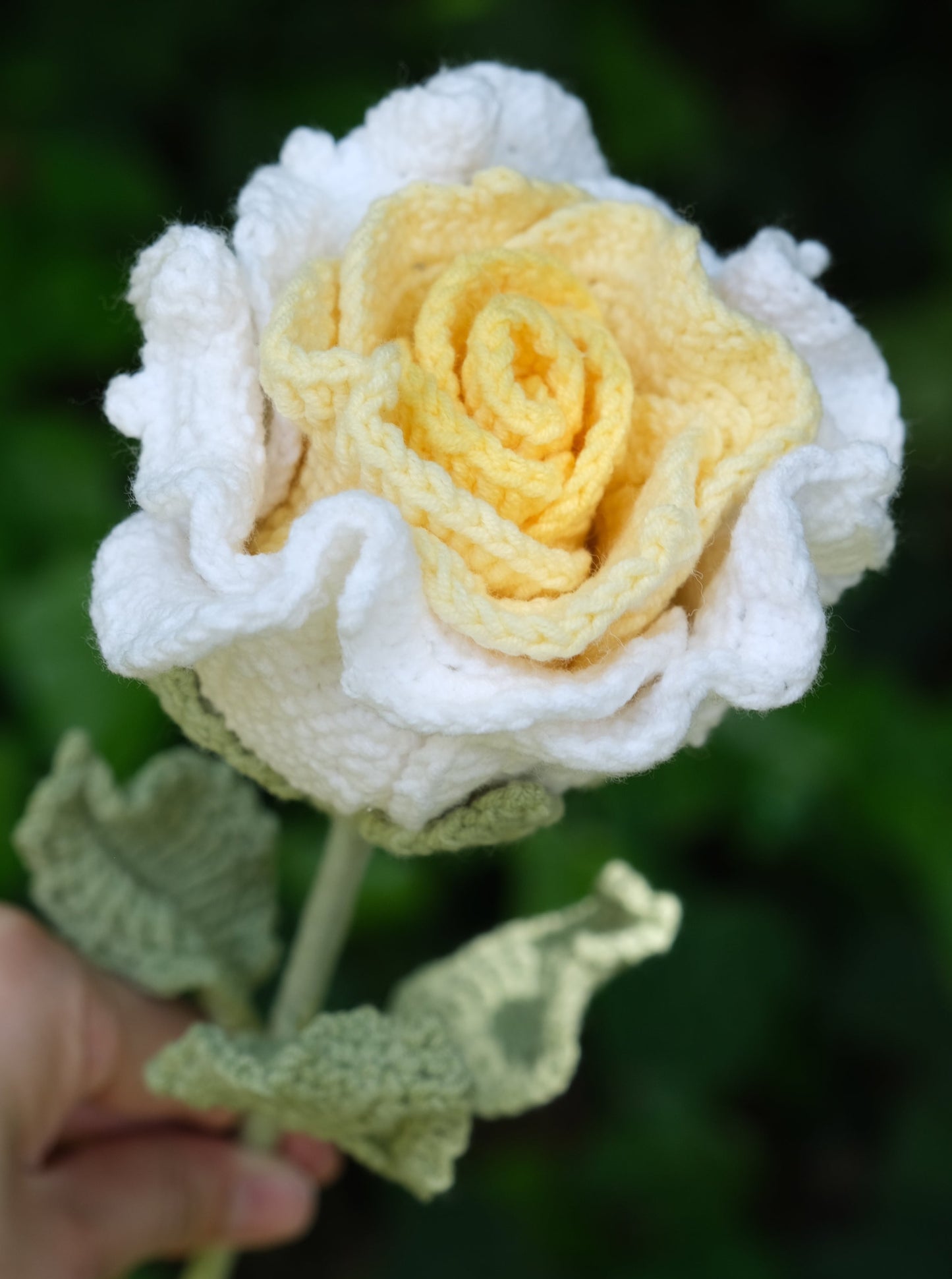 Yellow Crochet Thai Rose, Detail