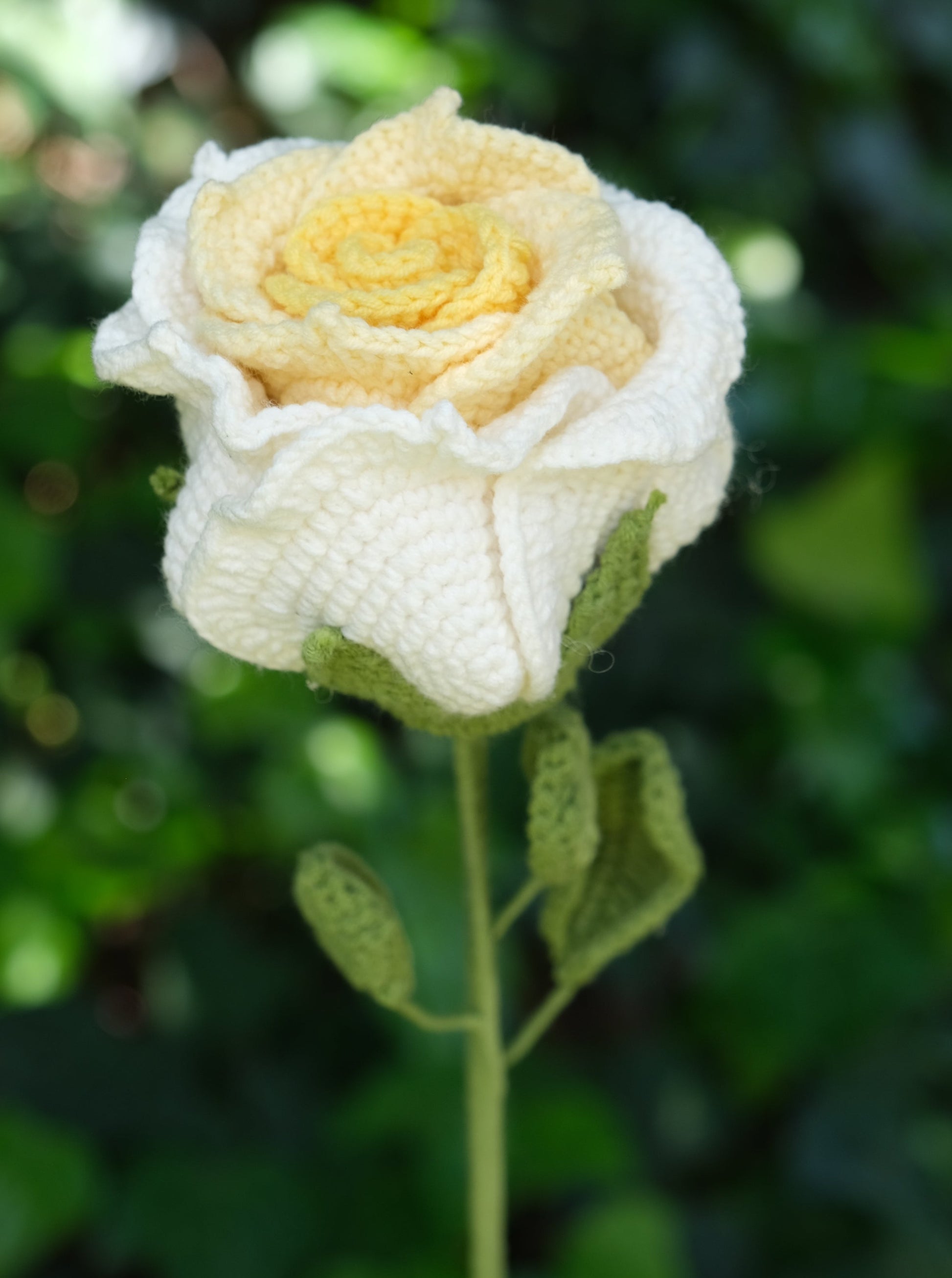 Yellow Crochet Thai Rose, Front Side