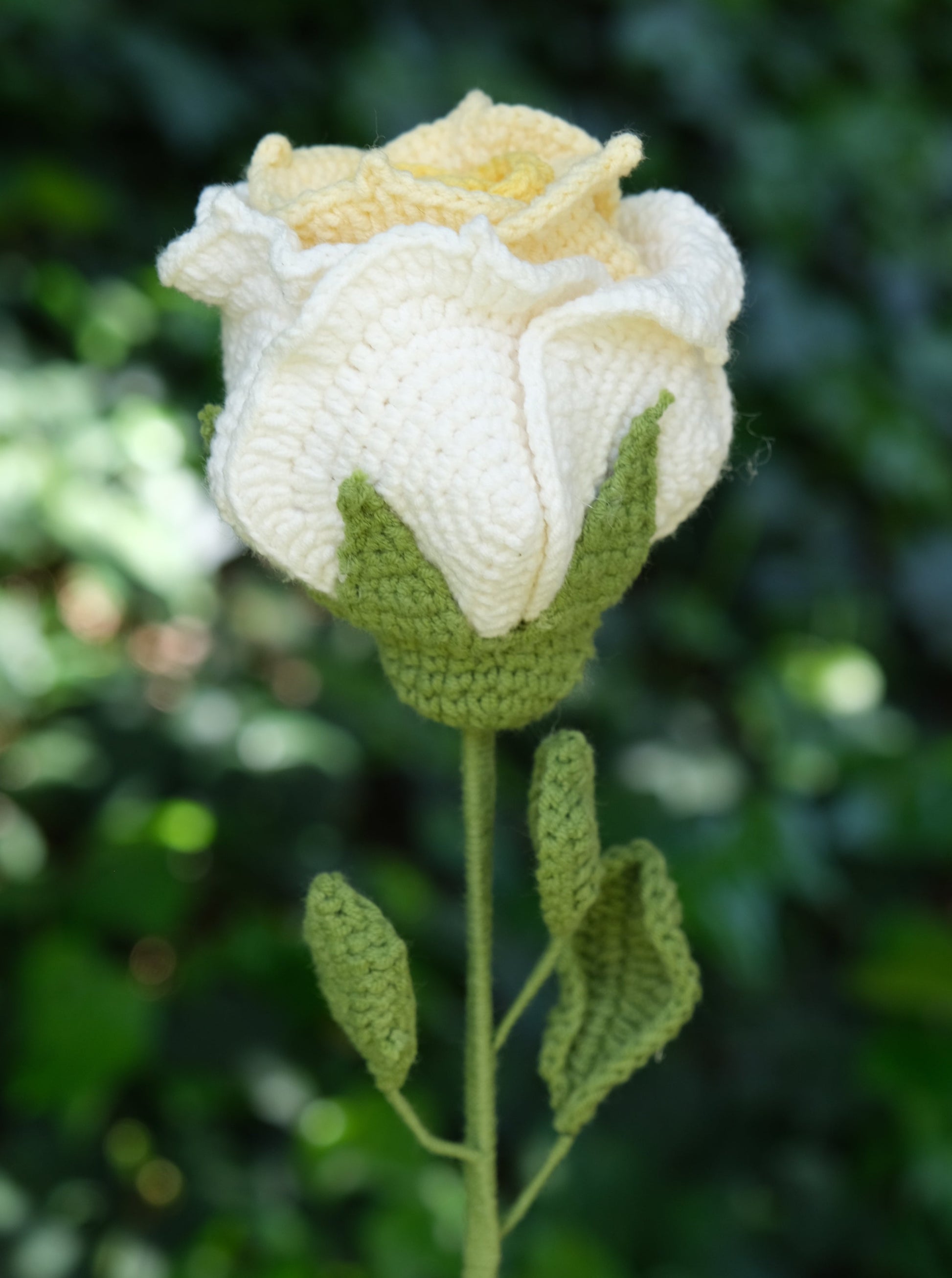 Yellow Crochet Thai Rose, Front Side